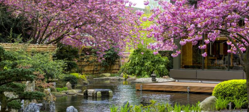 阿姆斯特丹大仓酒店 - 立鼎世酒店集团(Hotel Okura Amsterdam – the Leading Hotels of the World)图片