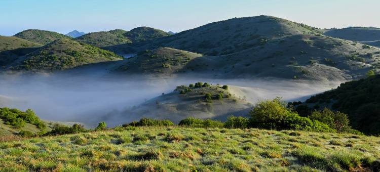 巴山云顶帐篷酒店图片