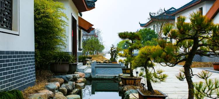 金寨兰花庄园图片