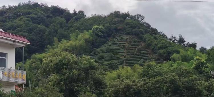 如家睿柏·云酒店(六安金安区政务中心店)图片