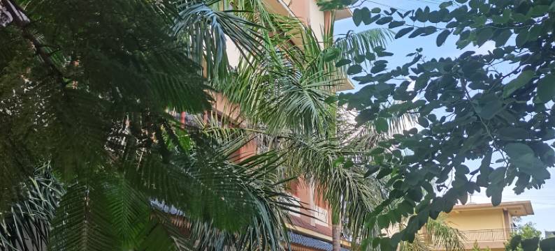 景洪多哩客栈图片