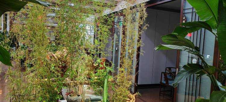 木言茶语堂民宿图片