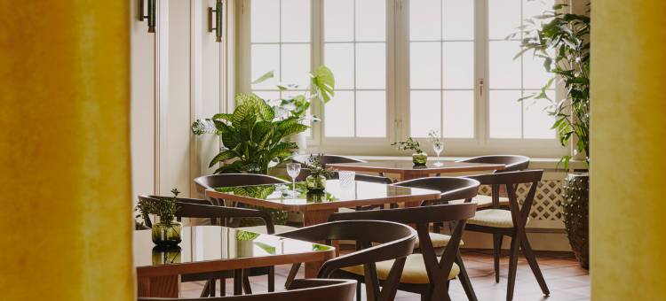 苏黎世洛克广场酒店(Locke am Platz Zurich)图片