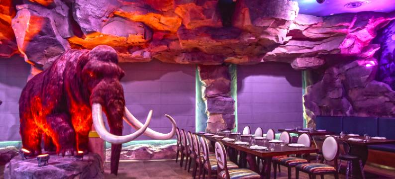 郑州银基冰雪酒店(动物王国店)图片