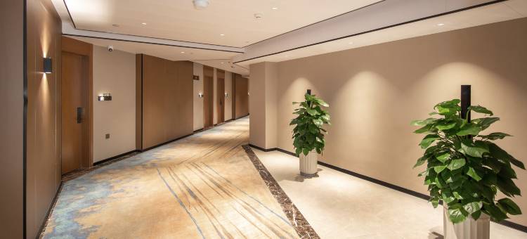 泊庭酒店(西双版纳勐海勐巴拉国际度假区雨林大道店)图片