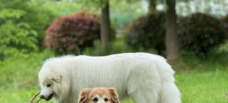都市快捷酒店(上饶余干县琵琶湖迎宾大道店)图片