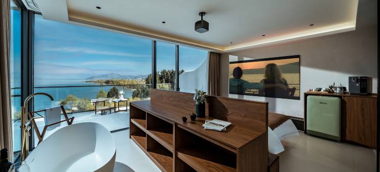 花筑·涵哲半海|PanoramicSeascape推窗见海观景美墅(洱海公园店)图片