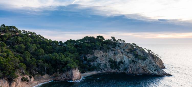 泽尔科斯塔布拉瓦(Zel Costa Brava)图片