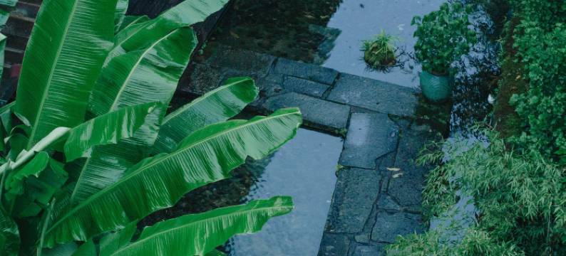 美客爱途民宿图片