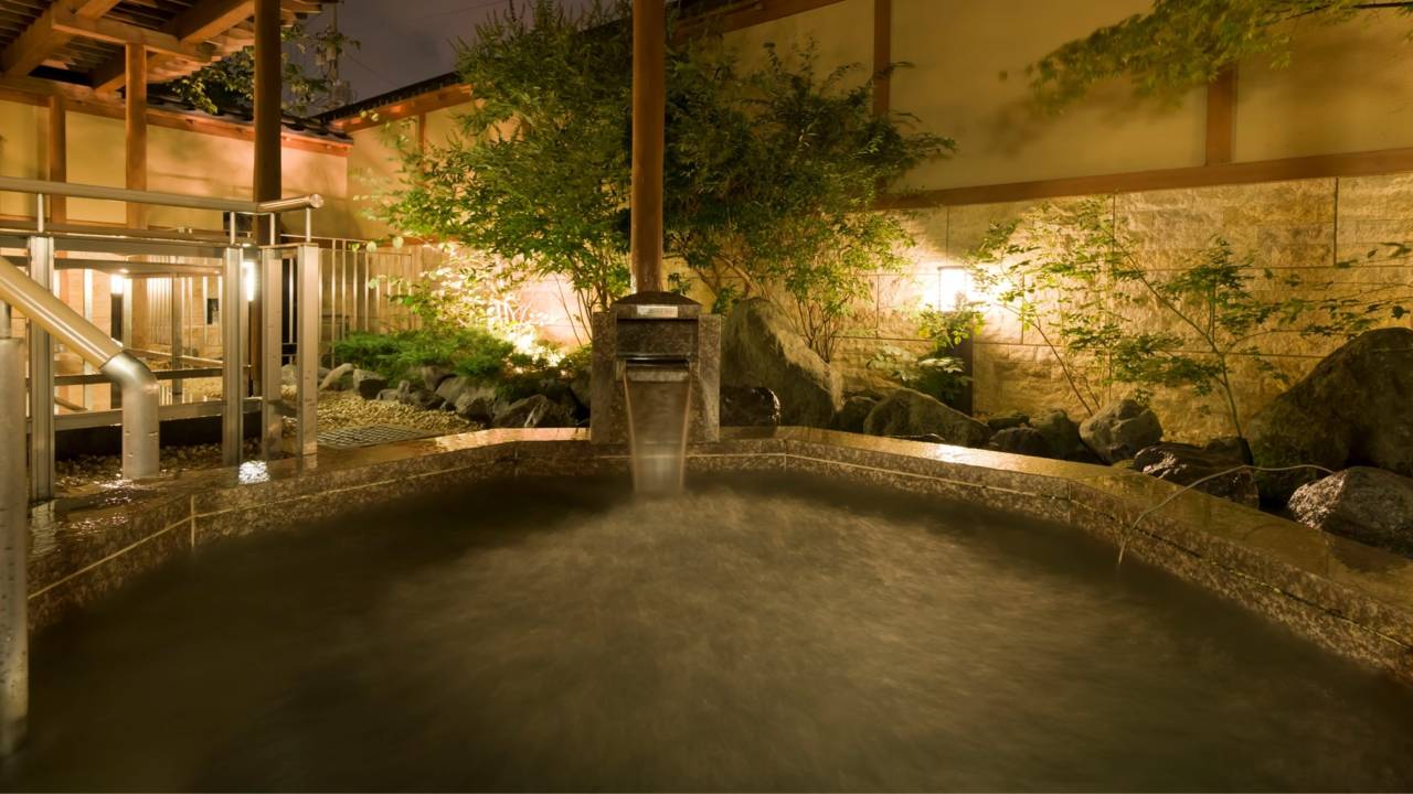 富士之宿温泉旅馆 大池酒店(Mt. Fuji View Onsen Ooike Hotel)图片
