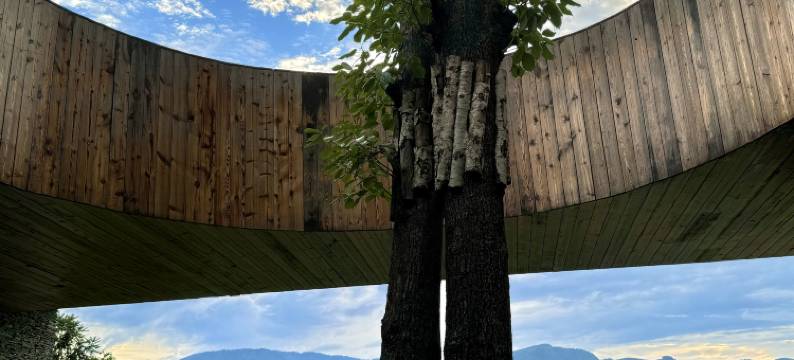 上山上·亚日萨·禹泉茶宿图片