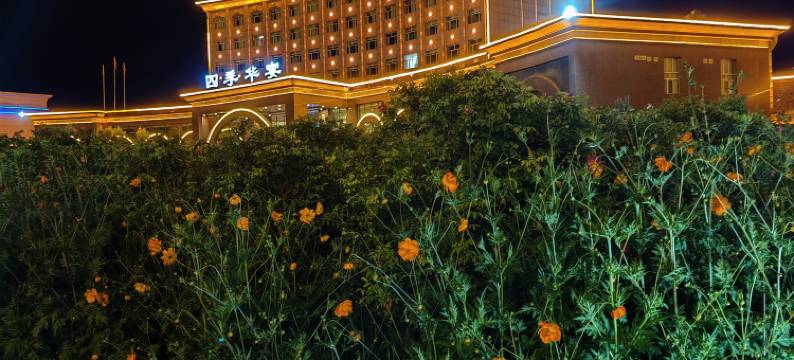 兴和四季华宴国际酒店图片