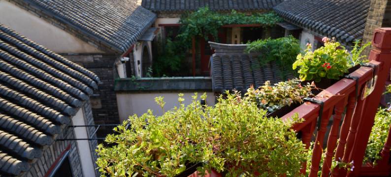两棵冬青海岸庭院民宿(烟台山景区店)图片