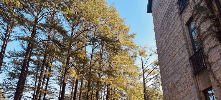 浙江莫干山庄(莫干山风景区店)图片