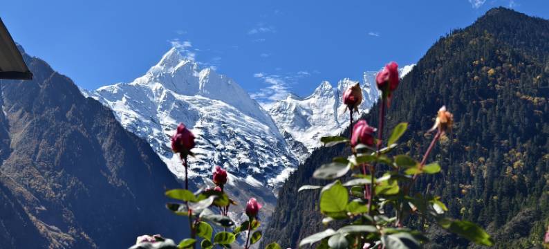 德钦逸云庭客栈图片