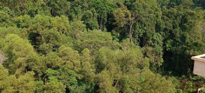 My Getaway Home @Marina Cove图片