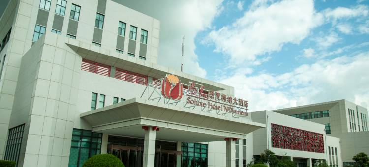 阳光恩贾梅纳大酒店(Soluxe Hotel)图片