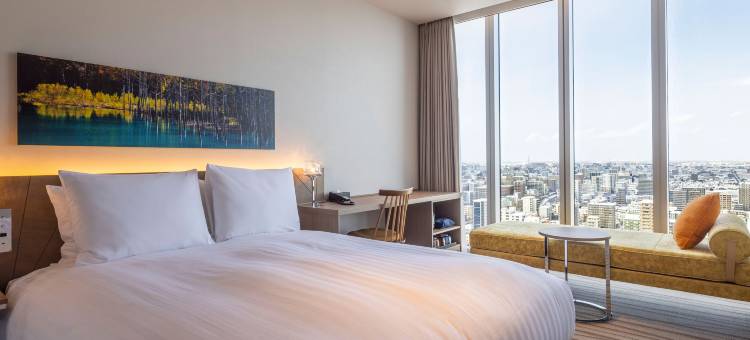 格兰贝尔札幌酒店(SAPPORO HOTEL by GRANBELL)图片