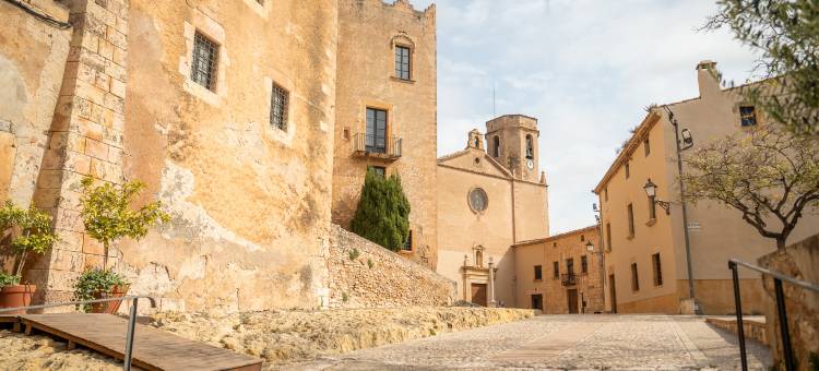 Gran Claustre 精品飯店(Gran Claustre Boutique Hotel)图片