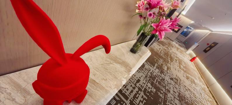 勃格优美酒店(大庆联想科技城店)图片