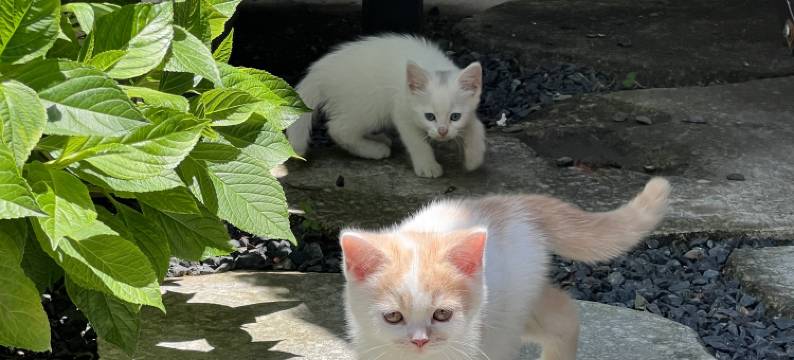 大理栖渐晚民宿(洱海才村店)图片