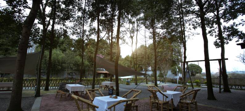 青城山青城园温泉酒店图片