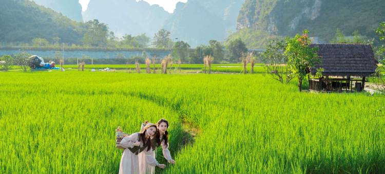 崇左大新明仕那里酒店图片