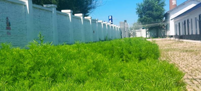 汤旺等风来小筑民宿图片