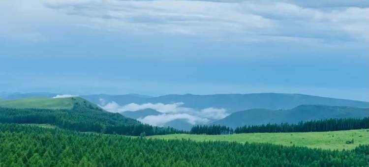 一茶别院客栈图片