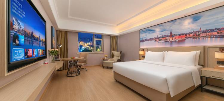 维也纳酒店(常德步行街店)图片