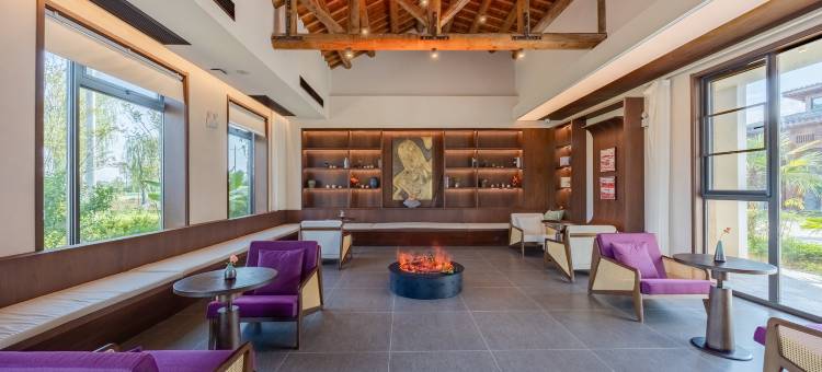 桐城嬉子·桐话民宿图片