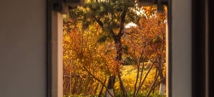 上海滴水湖洲际酒店图片