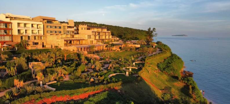 方岛丨巨鲸图片