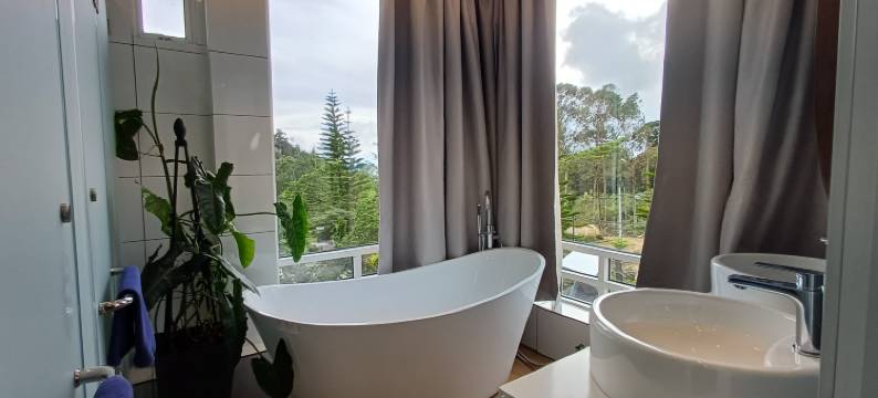 Sling & Stone Mountain Suites图片