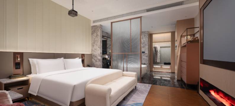 东莞松山湖智荣柏悦酒店图片