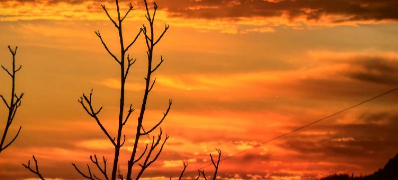 九思居·环谷秘境·日出云海·珍馐度假美宿(天目山店)图片