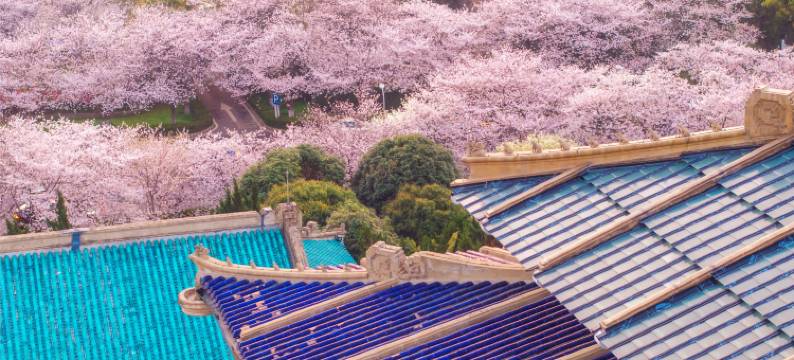 武汉富力威斯汀酒店图片