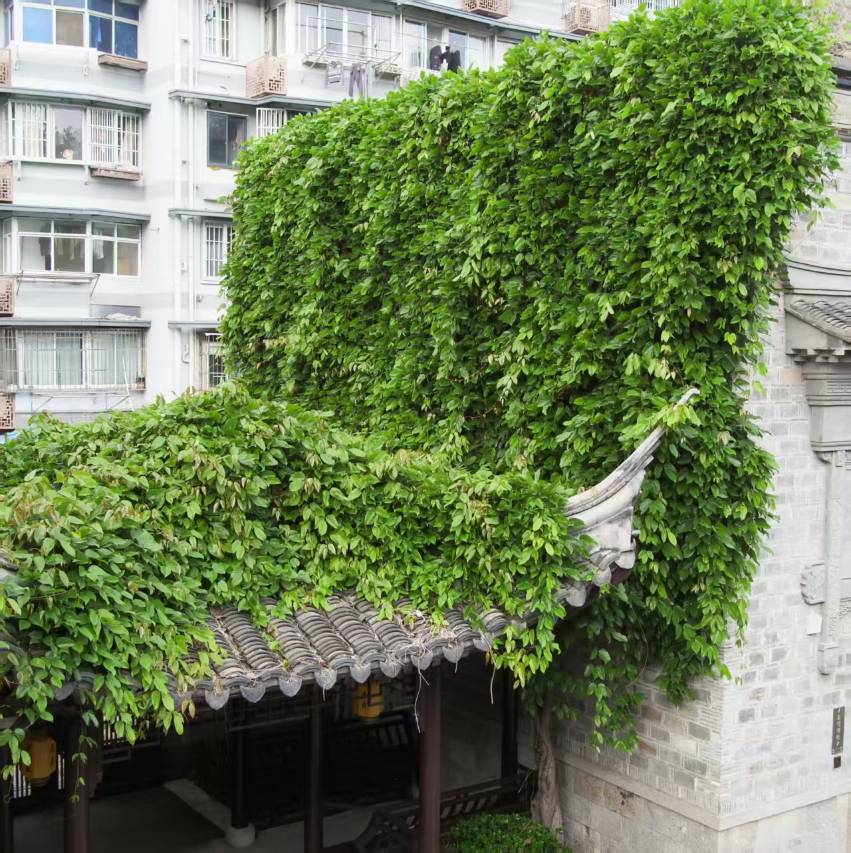 南京夫子庙老门东逸扉度假酒店图片