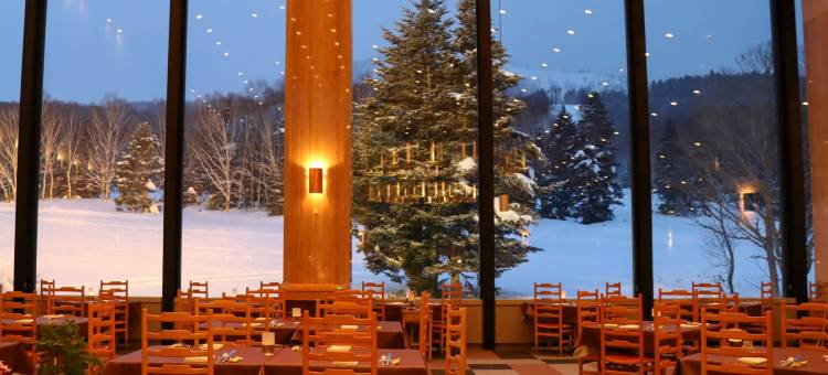 志贺高原王子大酒店(Shigakogen Prince Hotel)图片