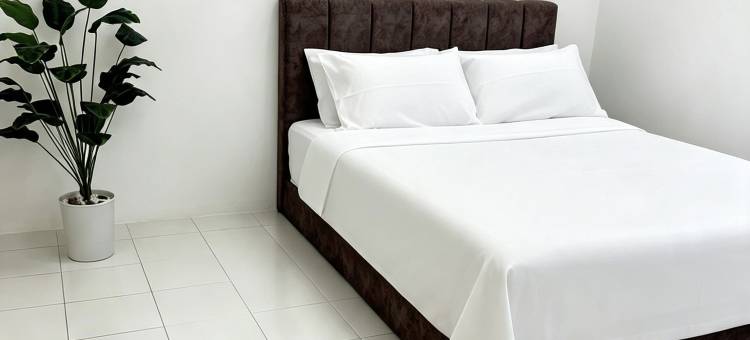 The Village Homestay - Triang , Bera , Pahang图片