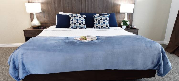宁静维加斯精品酒店(拉斯维加斯店 )(Serene Vegas Boutique Hotel Las Vegas)图片