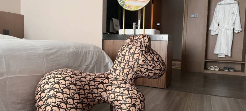 智·悦鑫酒店ZHI Hotel(资阳国际商贸城店)图片