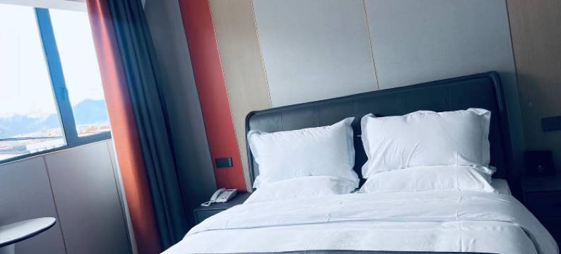 林芝唐朝酒店(市中心店)图片