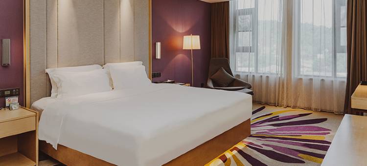 麗枫酒店(三台城北客运中心滨江公园店)图片