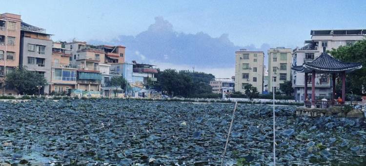 恋家青年公寓图片