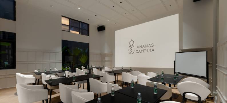 AnanasCamelia安舍·凯米里酒店(东风广场南屏步行街店)图片