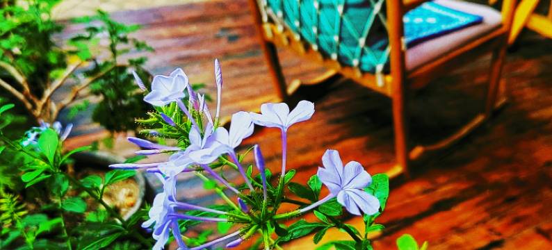 大理玺竹山居小院图片