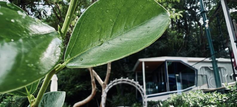 乐图房车度假民宿(鹿回头店)图片