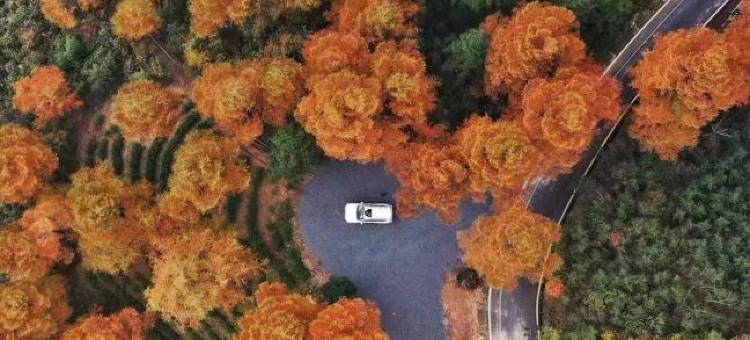 听涧·山川｜奢野私汤度假民宿(安吉云上草原店)图片