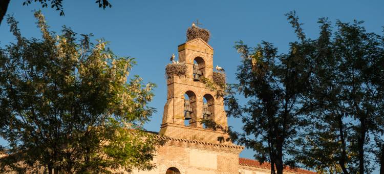 奥尔梅多卡斯蒂利亚特马尔酒店(Castilla Termal Olmedo)图片
